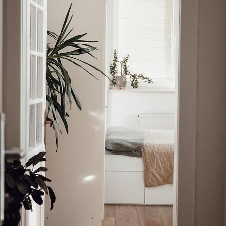 Apartamento Rural Carniola Fairytale Križe Exterior foto