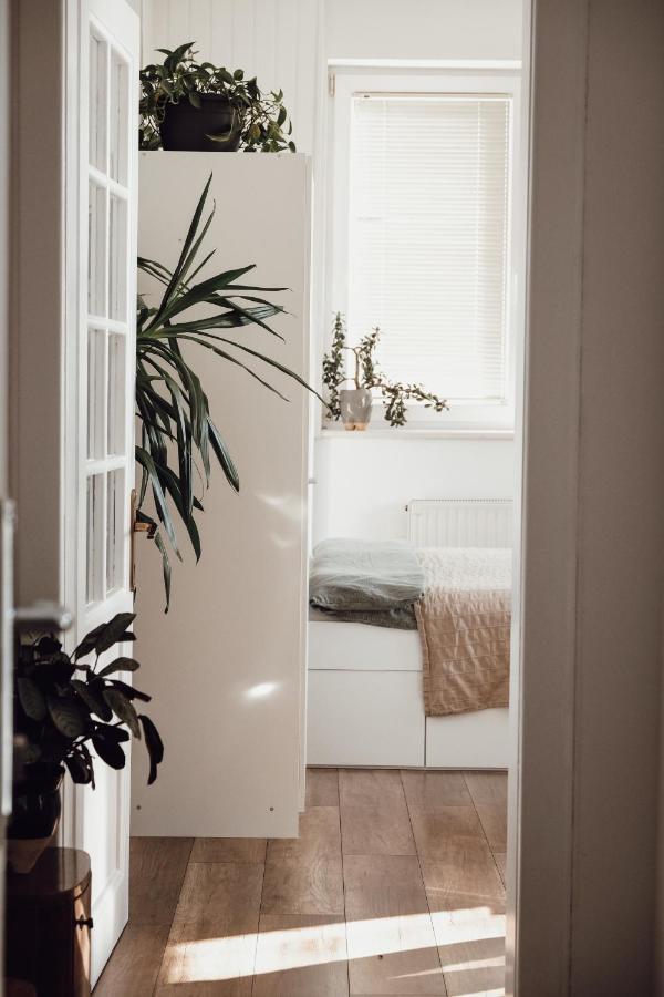Apartamento Rural Carniola Fairytale Križe Exterior foto